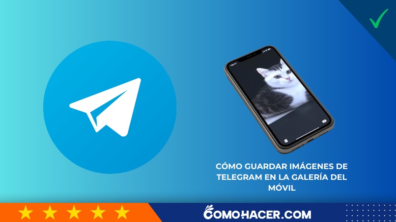 Cómo guardar imágenes de Telegram en la galería del móvil
